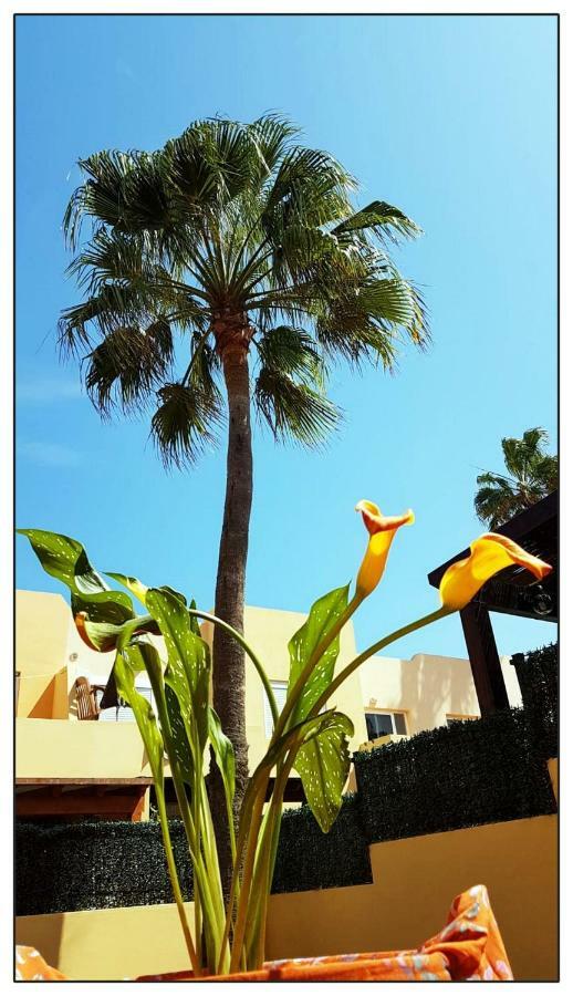 Lur De La Playa Apartment Corralejo Exterior foto